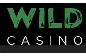 Wild Casino Avis : notre test en détail